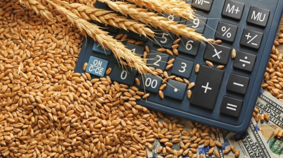 PSDE cere Guvernului sa intervină de urgență pentru compensarea pierderilor agricultorilor
