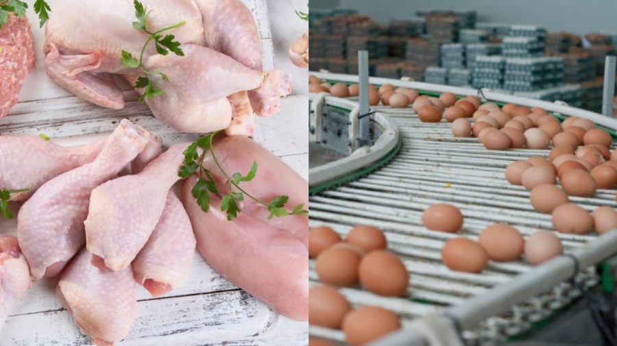Producătorii autohtoni nu se înghesuie să exporte carne și ouă în UE. Câți și-au anunțat intenția