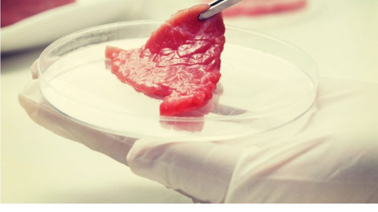 Țara din UE care interzice carnea artificială și alte alimente sintetice