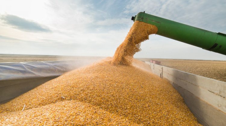 Comisia Europeană ridică restricţiile impuse importurilor de cereale ucrainene. Au fost puse și unele condiţii Kievului