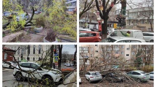 FOTO, VIDEO cu orașul Chișinău! Sectoarele în care arborii au căzut peste mașini parcate