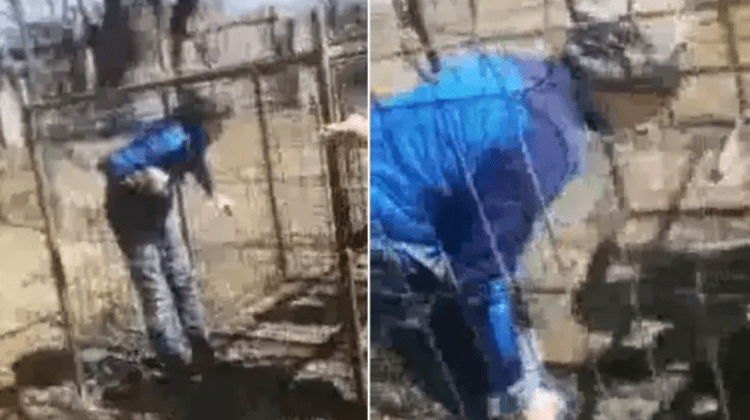 Atenție, imagini dure: Copil băgat în cușcă și lovit cu bețe de colegi