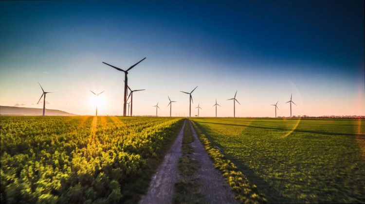Moldova – mai verde! În acest an vor fi lansate primele licitații pentru capacități mari de energie regenerabilă