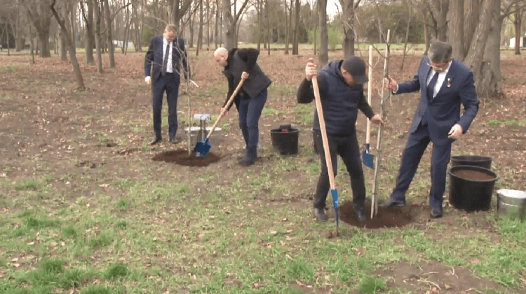 VIDEO S-a muncit din greu la Grădina Botanică. Igor Grosu și omologul său leton au plantat copaci