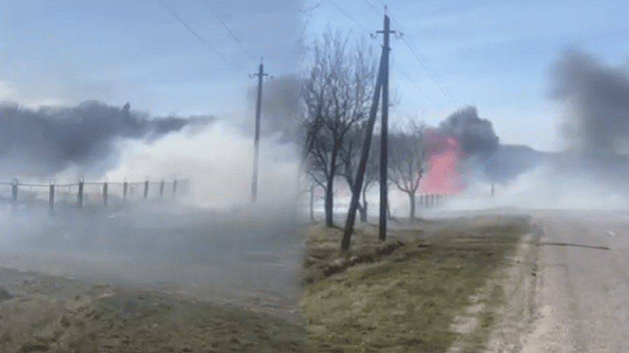VIDEO Incendiu de vegetație în nordul țării. Vântul agravează situația