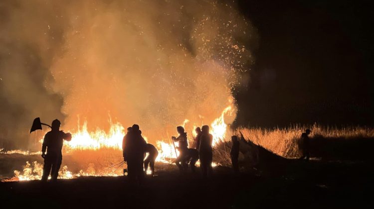 FOTO Incendiu devastator la un iaz din Ialoveni. Flăcările s-au extins pe câteva hectare