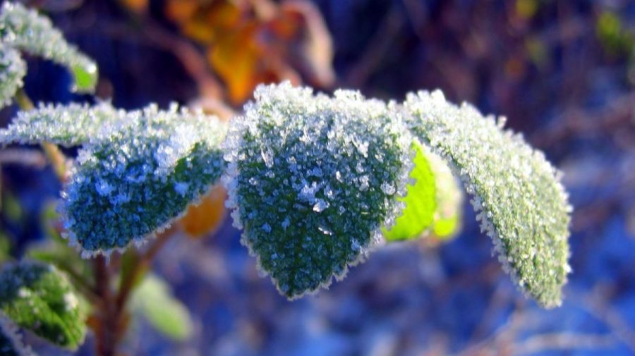 ULTIMA ORĂ! În Moldova a fost emis COD GALBEN de îngheț