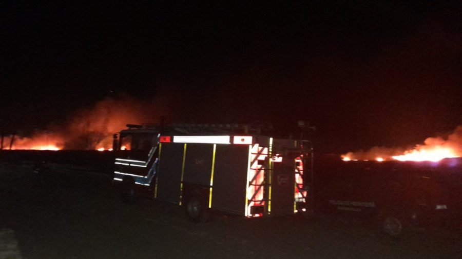 VIDEO, FOTO Incendii de vegetație în apropiere de frontieră