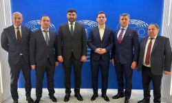 PSDE la întrevederea cu Negrescu: Menținerea parcursului european nu poate fi lăsată în responsabilitatea unui partid