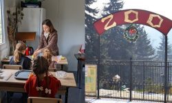 FOTO La Grădina Zoologică din Chișinău a fost amenajată o clasă! Elevii pot avea acolo lecții interactive la acest preț