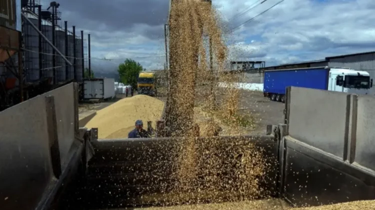 Bulgaria, după Polonia, Slovacia și Ungaria, limitează temporar importul de cereale ucrainene