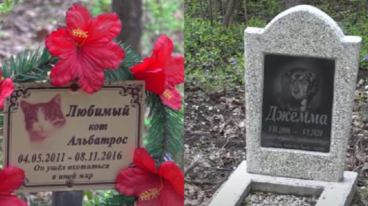 ”A fost un membru al familiei!” Reportaj VIDEO cu cimitirul pentru animalele de companie din Bălți