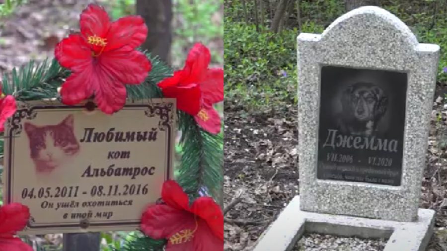 ”A fost un membru al familiei!” Reportaj VIDEO cu cimitirul pentru animalele de companie din Bălți