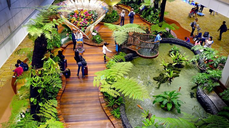 FOTO VIDEO Cascadă, grădină botanică și dinozauri: Cum arată cel mai frumos aeroport din lume