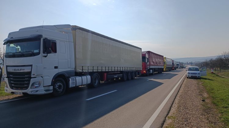 Un șofer de camion și-a cumpărat permisul din Polonia. Cât a achitat pentru document