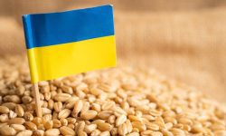 Kievul cere Comisiei Europene ridicarea tuturor restricțiilor pentru importul cerealelor