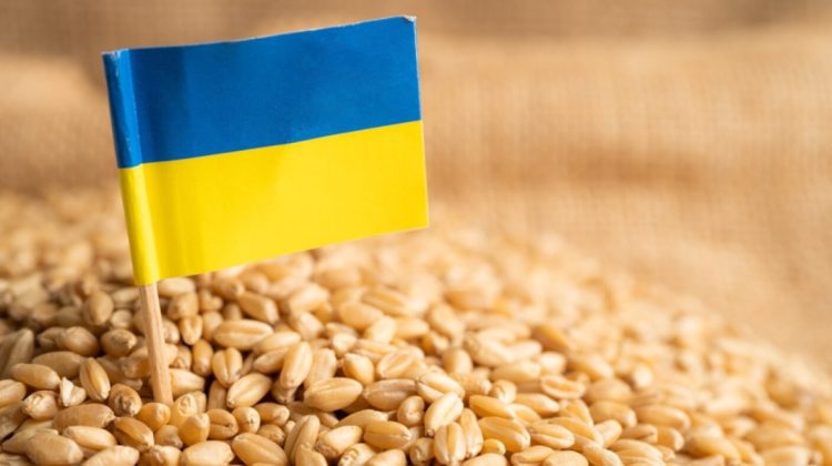 Kievul cere Comisiei Europene ridicarea tuturor restricțiilor pentru importul cerealelor