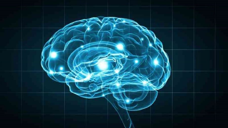 O boală genetică rară schimbă modul în care oamenii de știință înțeleg „centrul fricii” din creier