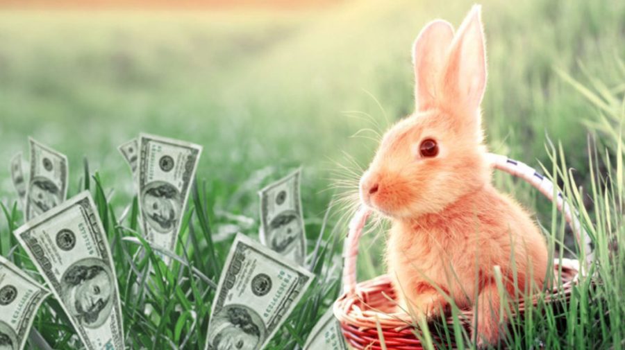 CURS VALUTAR 25 aprilie: După sărbătorile pascale, euro și dolarul se scumpesc