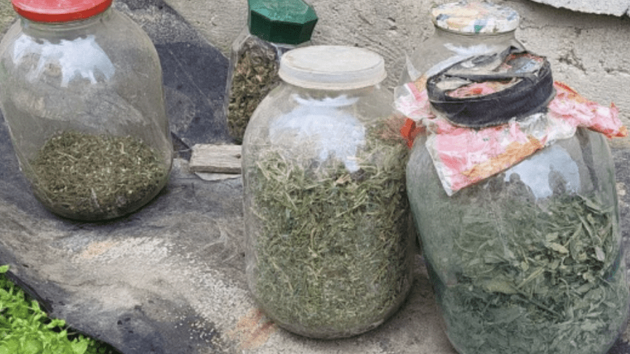VIDEO Droguri de aproape 500 mii lei – găsite la Cahul. Un bărbat a fost reținut pentru 72 de ore