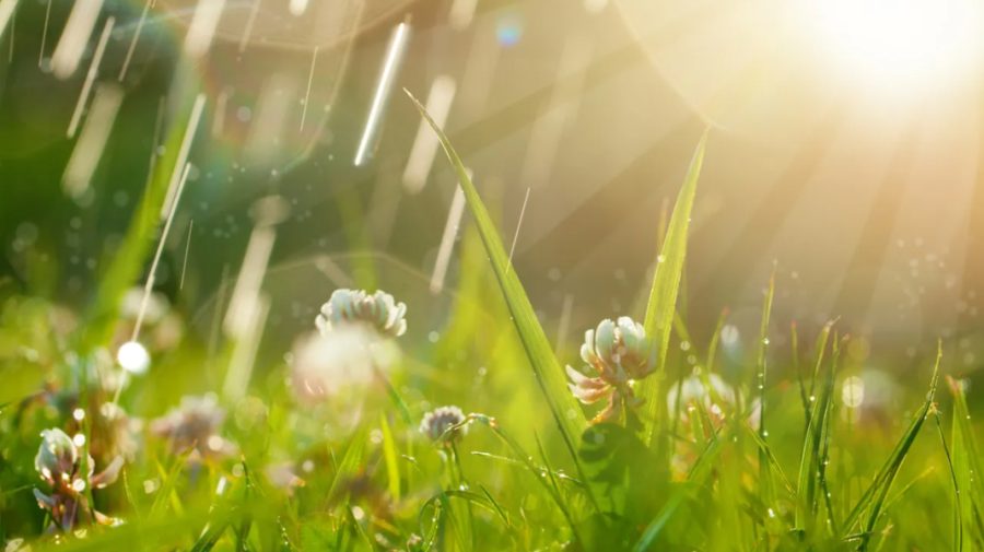 METEO La nord – cu umbrela, la Chișinău – cu ochelari de soare! Tabloul meteorologic pentru ziua de marți