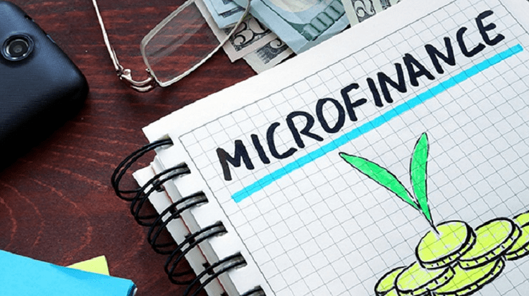 Moldovenii se împrumută mai puțin de la companiile de microfinanțare. Care este motivul