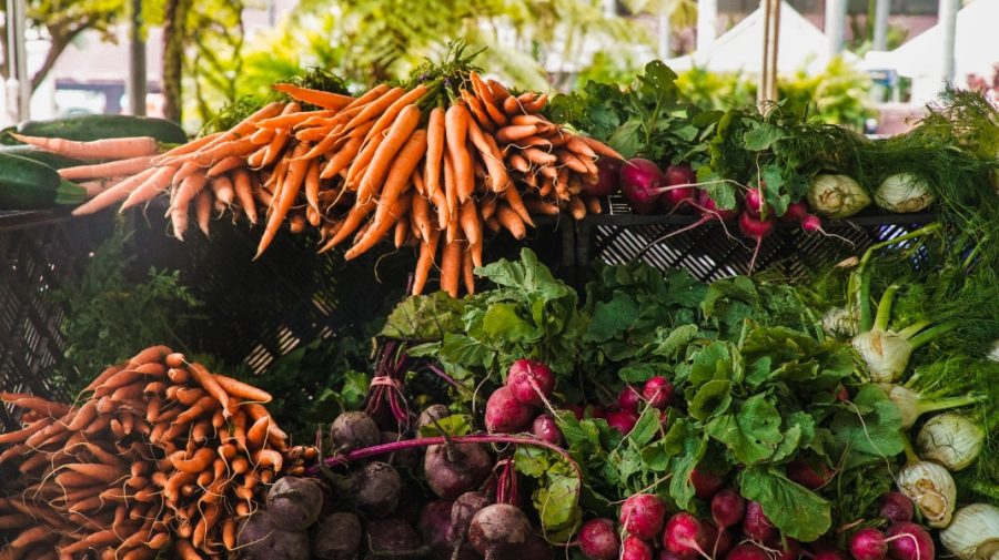 Top 7 produse pe care Republica Moldova le exportă în UE. Fructele şi legumele, cam pe la coadă
