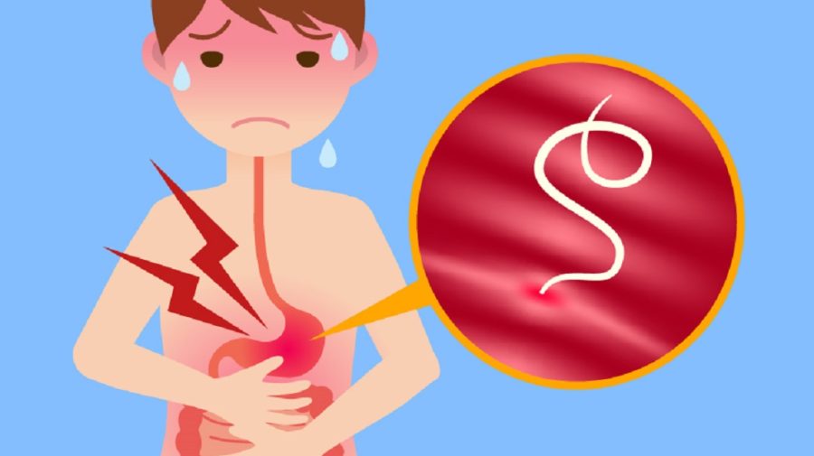 Patru simptome care indică faptul că ai paraziți în corpul tău