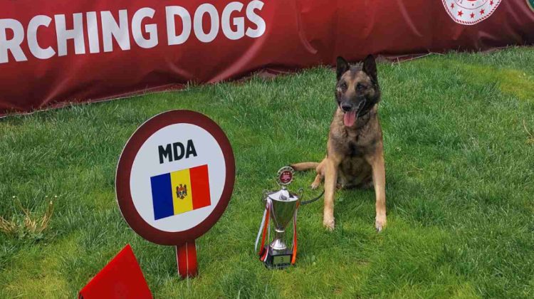 FOTO, VIDEO Echipa canină a Poliției de Frontieră a luat bronzul la Campionatul internațional de la Ankara