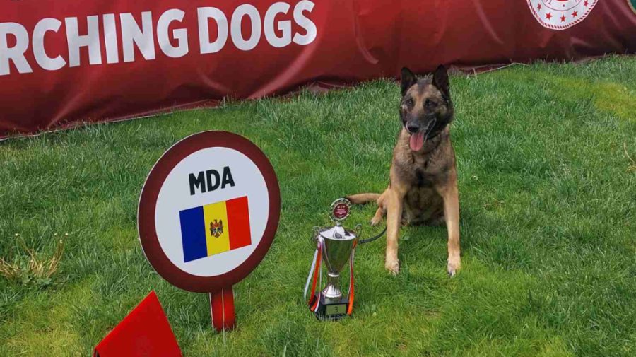 FOTO, VIDEO Echipa canină a Poliției de Frontieră a luat bronzul la Campionatul internațional de la Ankara