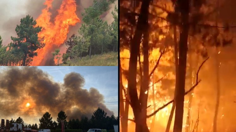 Incendiu masiv de vegetație în Spania. Sute de persoane sunt evacuate din calea flăcărilor