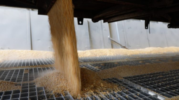 Comisia Europeană acordă României compensații de 30 mil. de euro pentru fermierii afectați de cerealele ucrainene