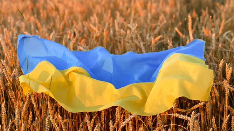 Ucraina vinde ieftin grânele. De ce au nevoie de bani din cereale?