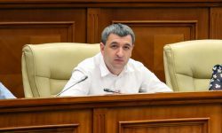 Yandex, în vizorul Parlamentului. Lilian Carp: Autoritățile au pregătit un proiect de lege pentru astfel de cazuri