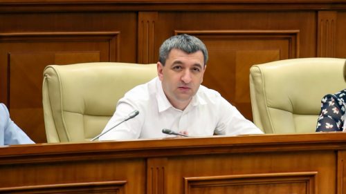 Yandex, în vizorul Parlamentului. Lilian Carp: Autoritățile au pregătit un proiect de lege pentru astfel de cazuri
