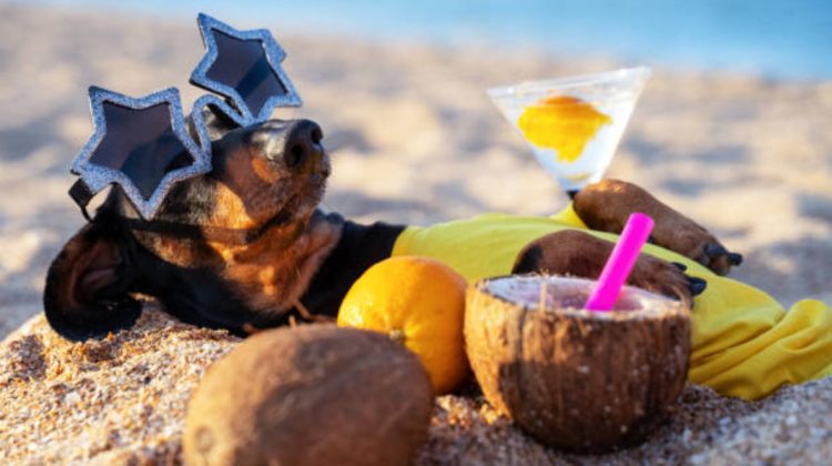 METEO Sunteți gata de vară? Pregătiți-vă băuturile răcoritoare, azi vom avea maxime de până la +28°C
