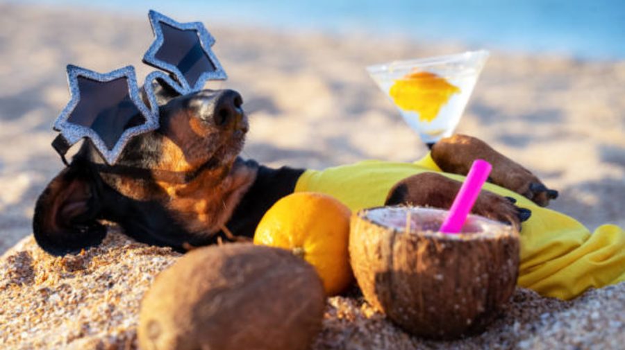 METEO Sunteți gata de vară? Pregătiți-vă băuturile răcoritoare, azi vom avea maxime de până la +28°C