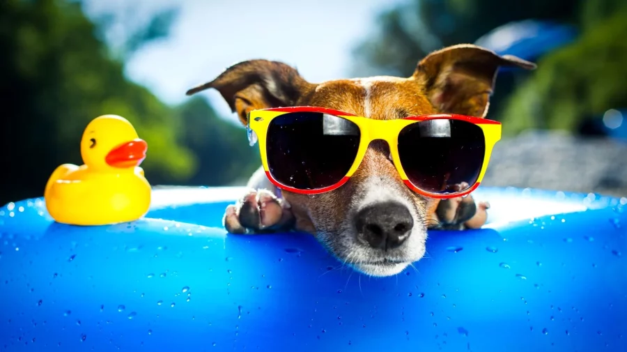 METEO Vara e tot mai aproape! Mercurul din termometre va urca azi până la +25°C