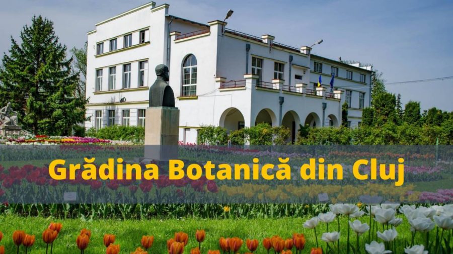 VIDEO România turistică: Grădina Botanică „Alexandru Borza” din Cluj-Napoca