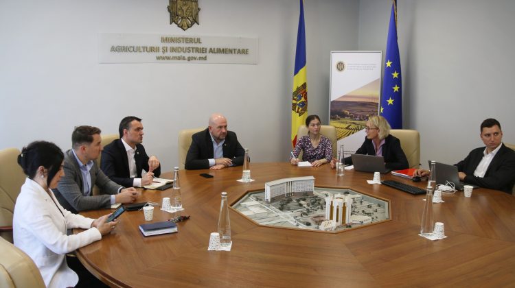 Guvernul Germaniei va oferi suport sectorului agricol în pregătirea Republicii Moldova pentru aderarea la UE