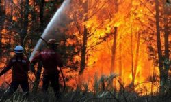 Fumul provocat de incendiile de vegetaţie din Canada declanşează alerte în New York: 3,3 milioane de hectare au ars