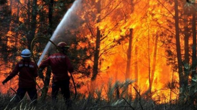 Fumul provocat de incendiile de vegetaţie din Canada declanşează alerte în New York: 3,3 milioane de hectare au ars