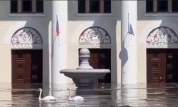 VIDEO Catastrofa de la Nova Kahovka: Niprul a ajuns în zonele rezidențiale. În centrul orașului înoată lebede