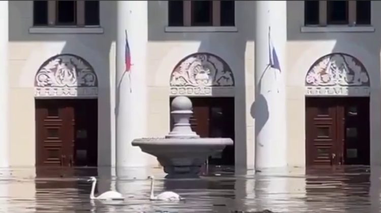 VIDEO Catastrofa de la Nova Kahovka: Niprul a ajuns în zonele rezidențiale. În centrul orașului înoată lebede