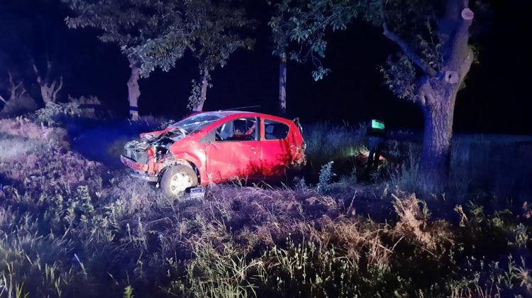 FOTO Un tânăr din Edineț – cu mașina în șant. Poliția spune că individul a fugit de la locul accidentului