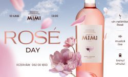 FOTO, VIDEO Rosé Day la Castel Mimi – toate nuanțele gusturilor rosé la un singur eveniment