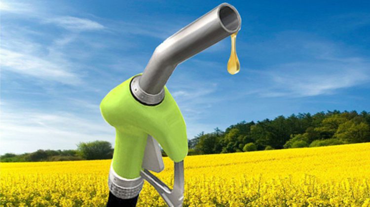Săptămâna se „încununează” cu noi scumpiri! Prețul motorinei crește cu 9 bani. Cât costă benzina