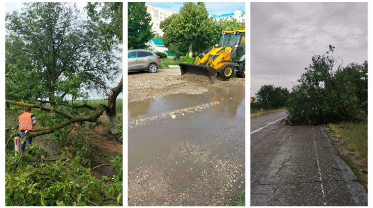 FOTO Consecințele ploii de la Ceadîr-Lunga: Mai mulți copaci s-au rupt și au intervenit drumarii