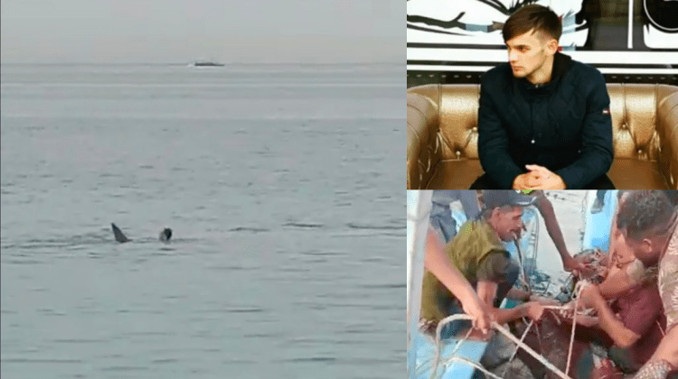 „S-a întâmplat în 20 de secunde”. Tatăl descrie momentul în care fiul lui a fost mâncat de un rechin în Egipt