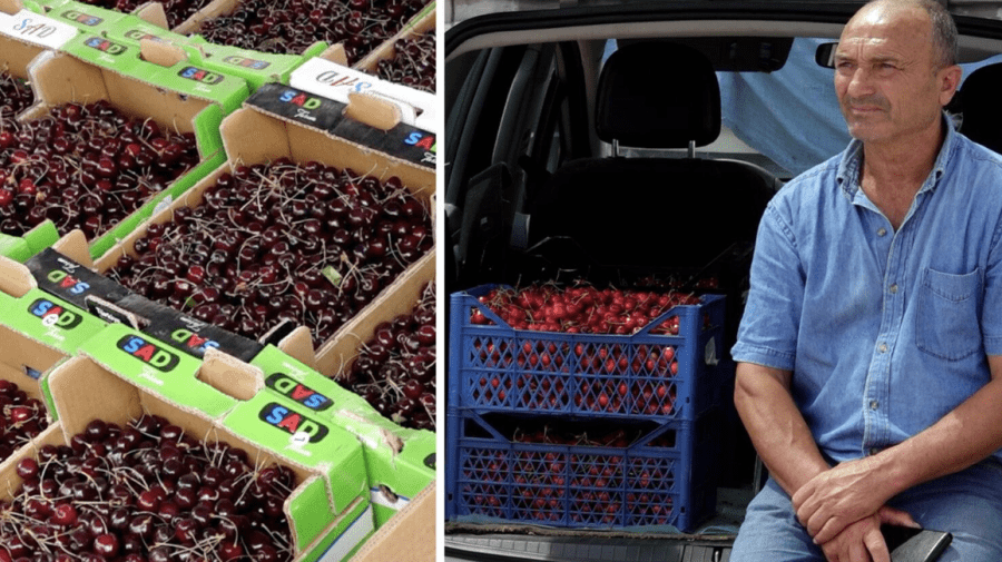 VIDEO Comercianții de fructe autohtone  – la limita disperării. Nu-și pot realiza marfa și sunt gata s-o dea gratis